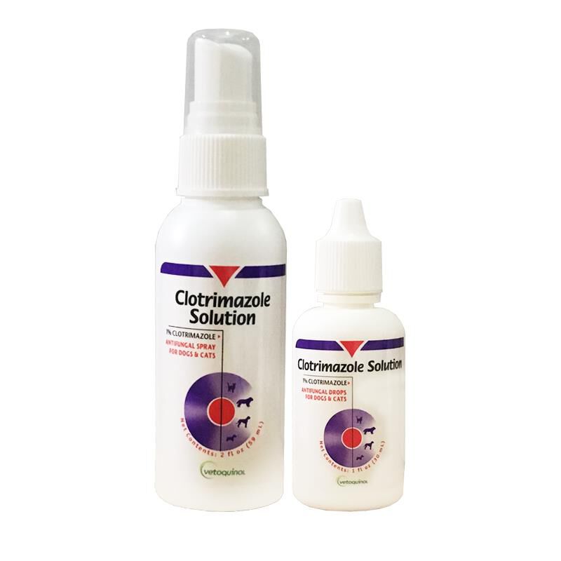 Clotrimazole Antifungal Solution for Dogs and Cats