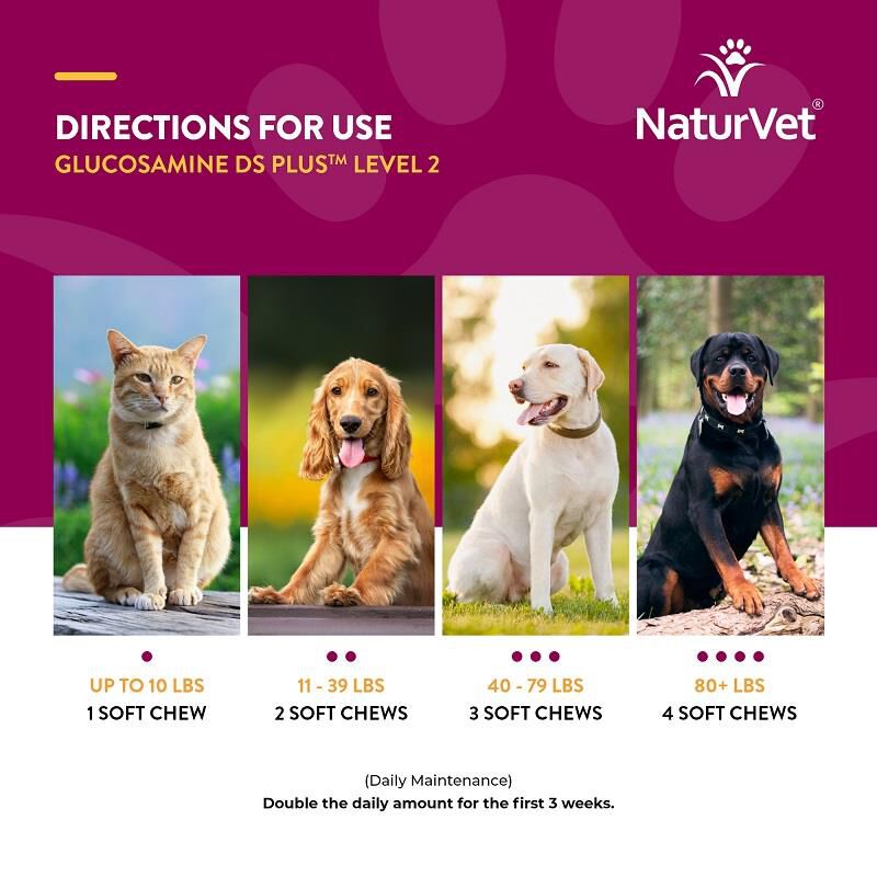 NaturVet Glucosamine DS Plus Level 2 Soft Chews for Dogs and Cats