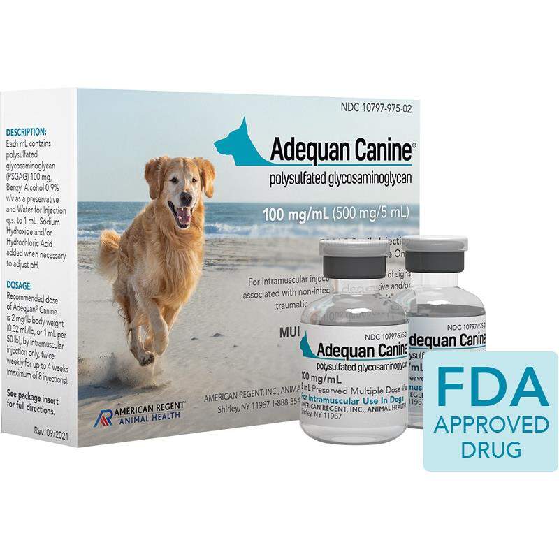 Adequan Canine Injection Vial for Dogs