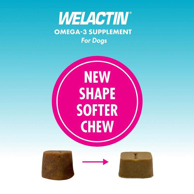 Welactin Omega-3 Skin & Coat Health plus Overall Wellness Supplement for Dogs, 60 Soft Chews