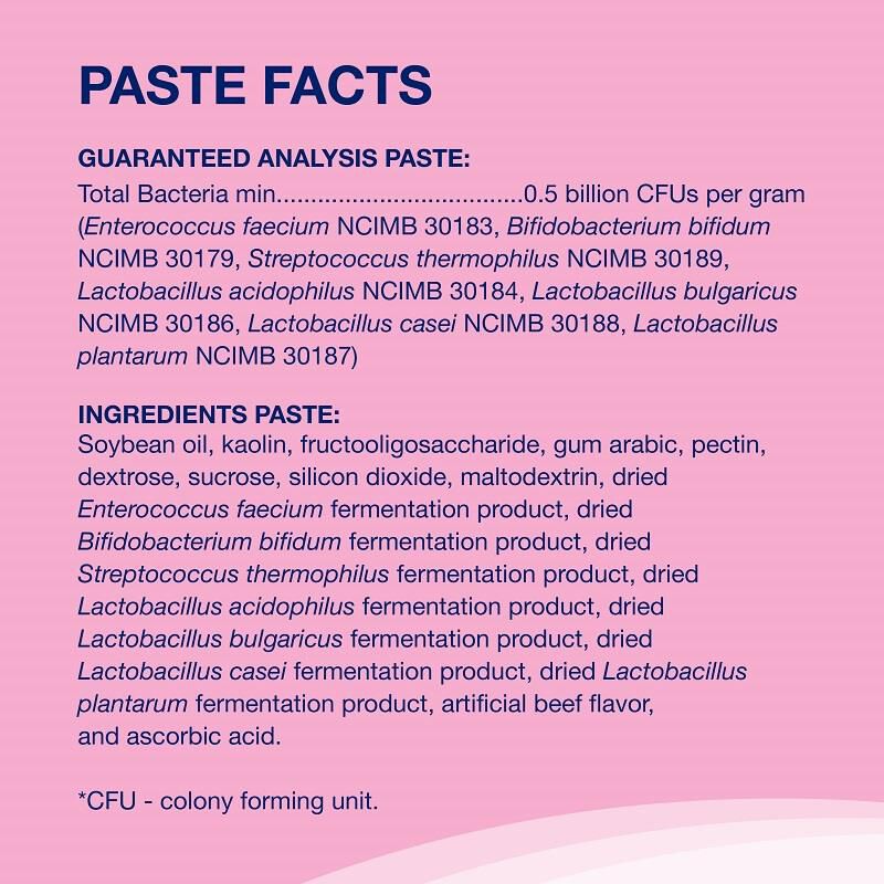 Proviable KP Paste + 10 Caps for Dogs and Cats
