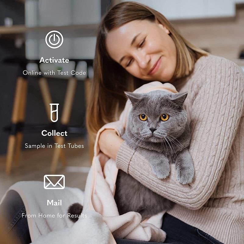 MySimplePetLab Routine Cat Stool Test Kit