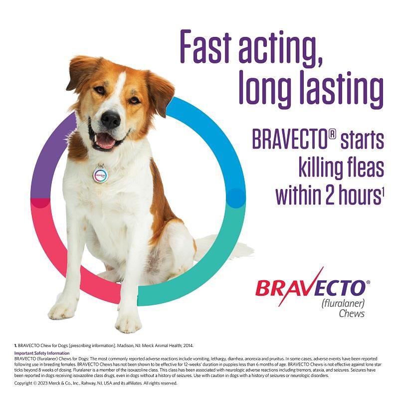 Bravecto Chews for Dogs