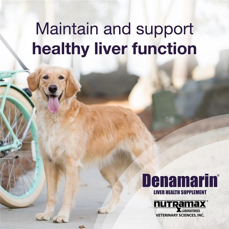 Denamarin Large Dogs 30 Ct. (Bottle)