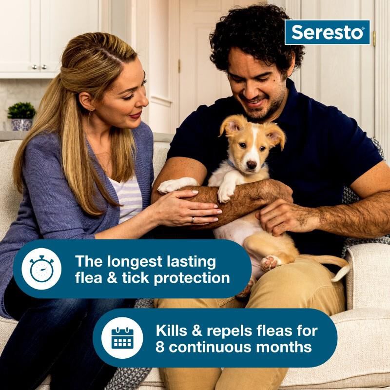 Seresto for on sale