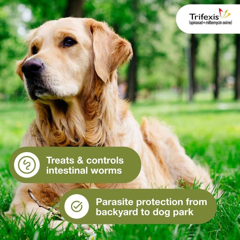Trifexis Chewable Tablets for Dogs 40.1-60 lbs Blue, 12 Month Supply