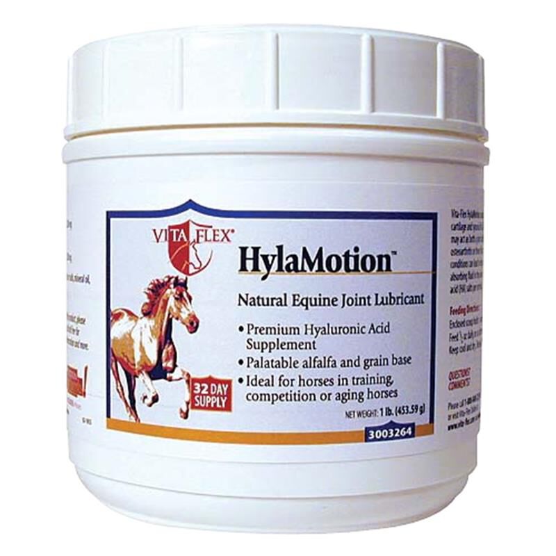 Hylamotion