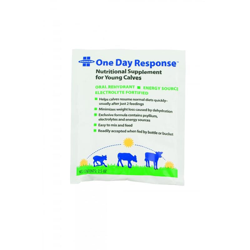 One Day Response