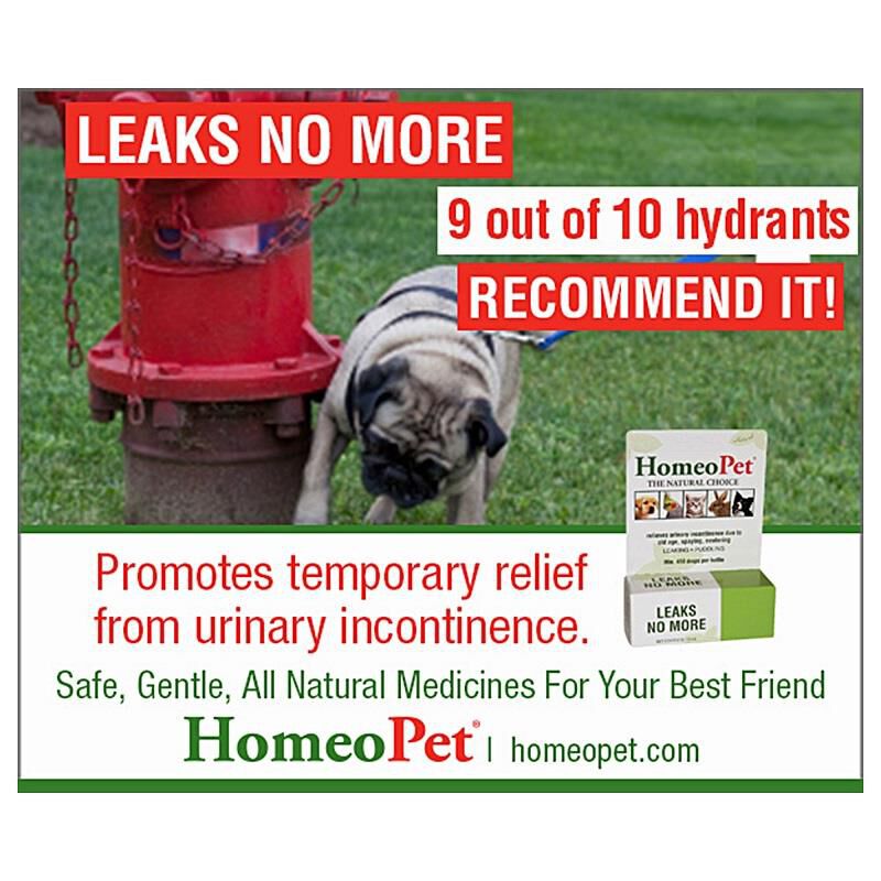 HomeoPet Leaks No More