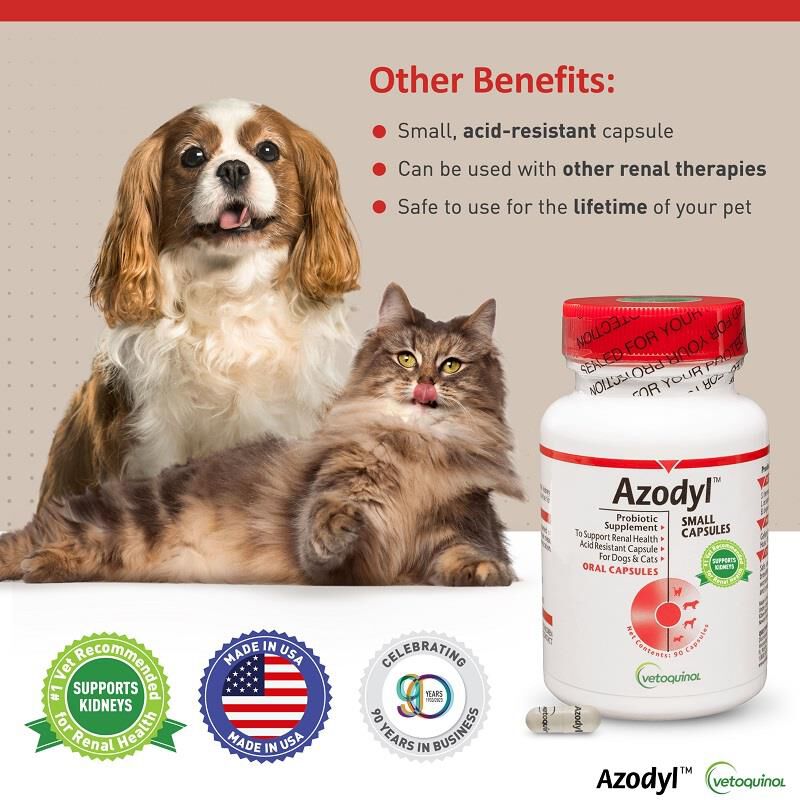 Vetoquinol epakitin supplement deals for dogs & cats