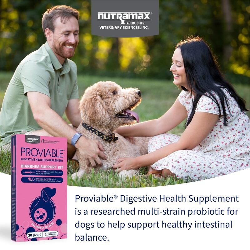 Proviable KP Paste + 10 Caps for Dogs and Cats