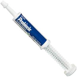 Bomac Vets Plus Probiocin Oral Gel for Pets for Dogs and Cats with Upset Stomach, 15 gm Syringe