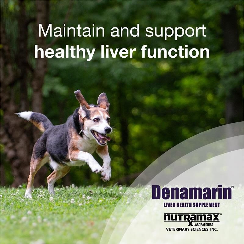 Denamarin Medium Dogs 30 Ct. (Bottle)