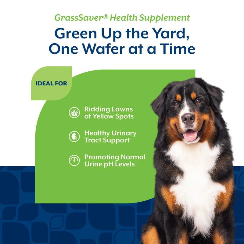 NaturVet GrassSaver, 300 Chewable Wafers