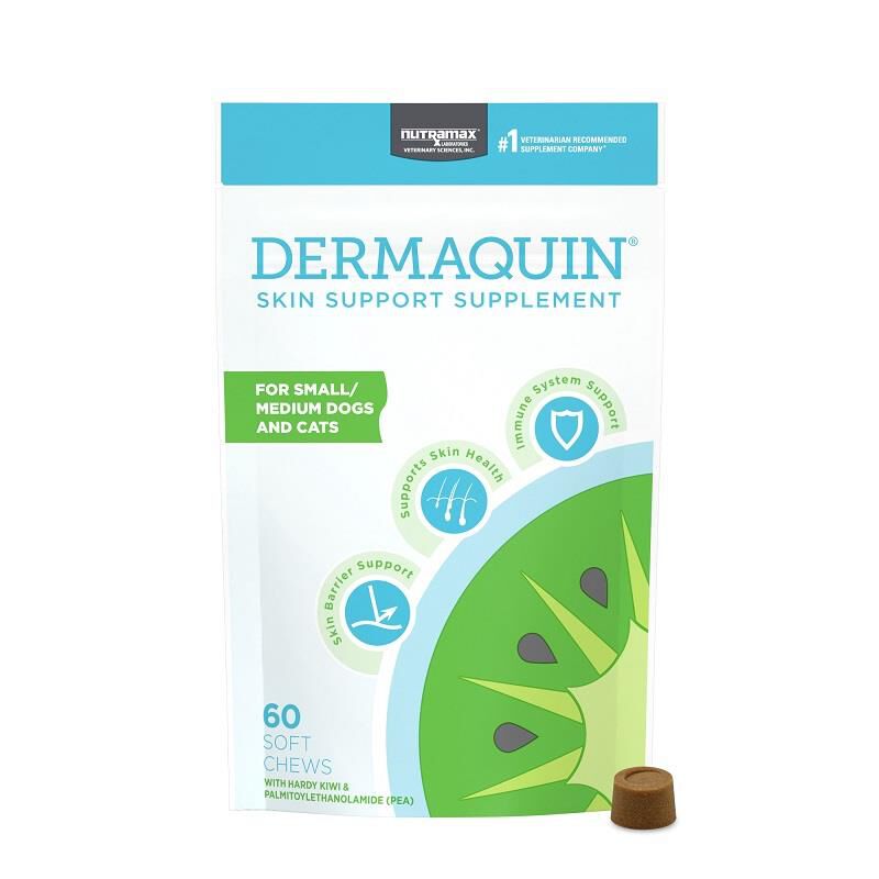 Dermaquin Skin Support Supplement for Small to Medium Dogs and