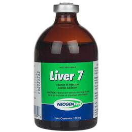 Liver 7