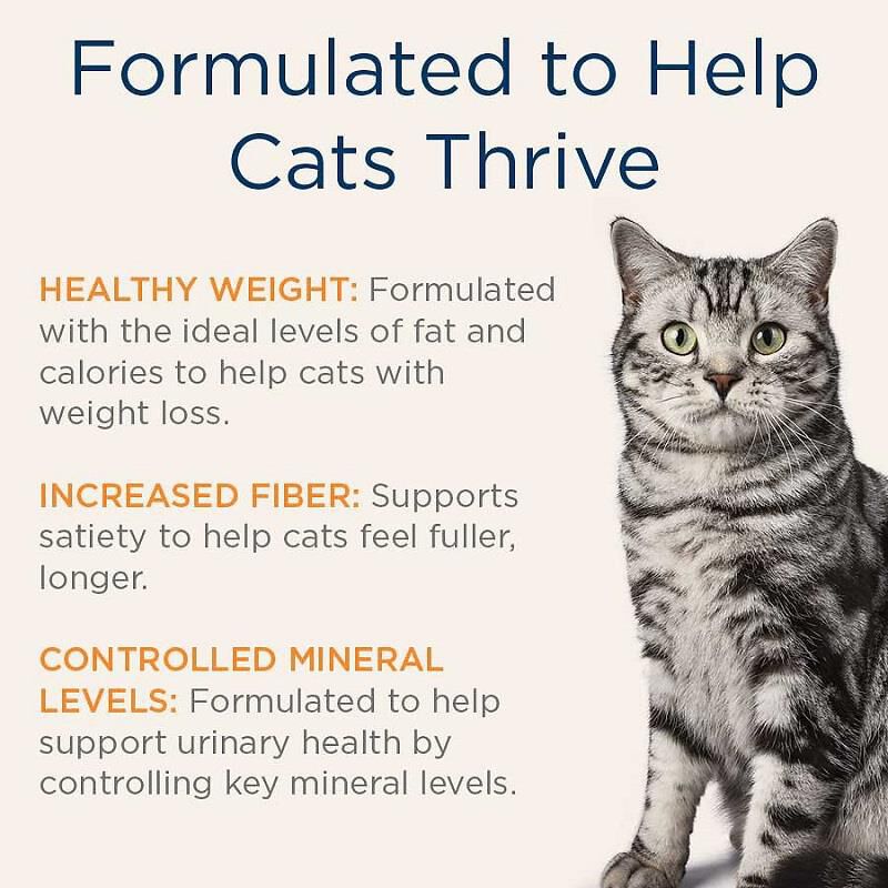 Blue Buffalo Natural Veterinary Diet W+U Weight Management + Urinary Care Cat Food (24 x 5.5 oz) Cans