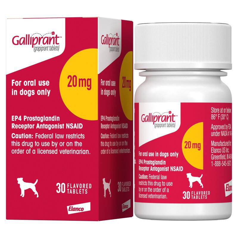 Galliprant Tablets for Dogs Giant Eagle Pet Pharmacy
