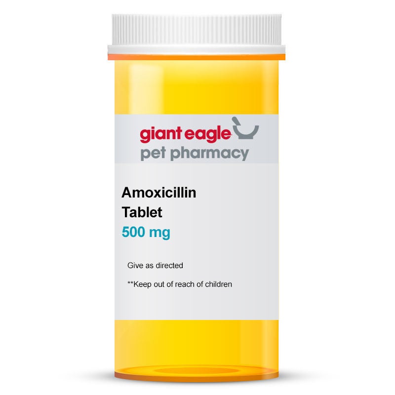 Amoxicillin Tablet, 500 mg