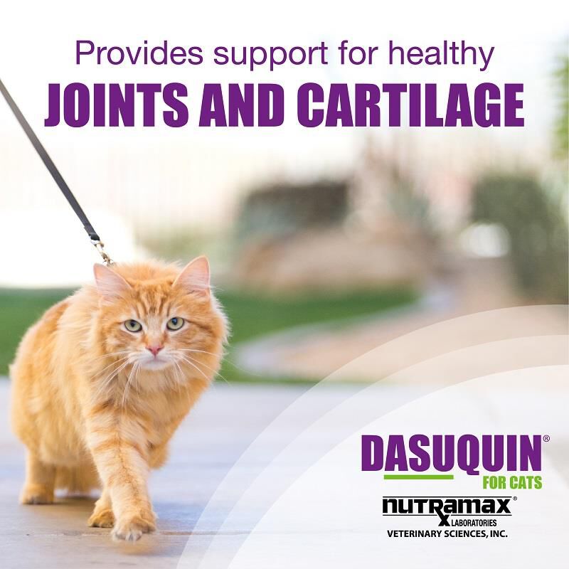 Dasuquin for Cats, 84 Soft Chews