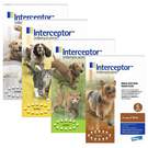 Interceptor for Dogs and Cats