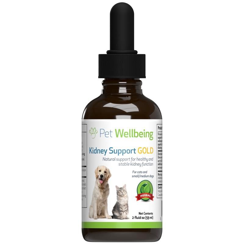 Pet Wellbeing Kidney Support Gold for Dogs