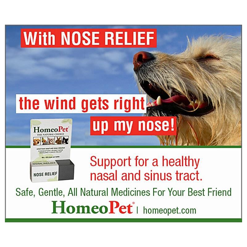 HomeoPet Nose Relief