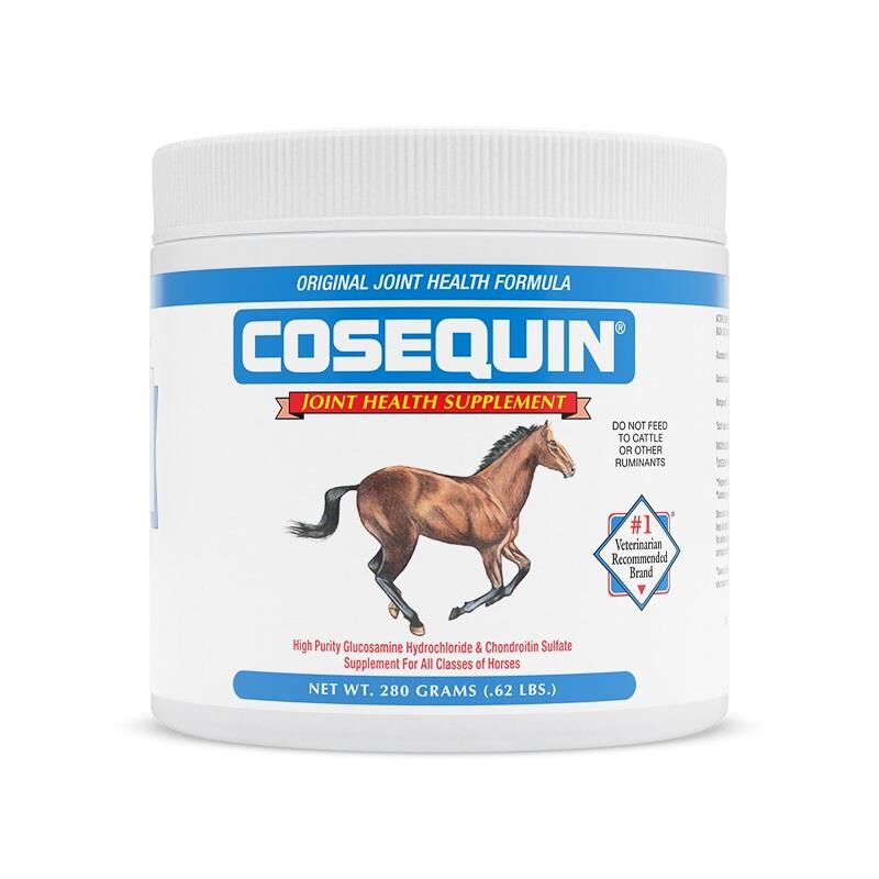 Cosequin Powder