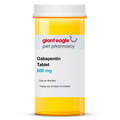 Gabapentin 600 mg Tablet