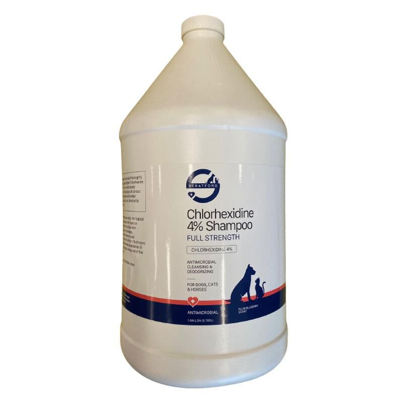 Stratford Chlorhexidine 4% Shampoo for Dogs, Cats, and Horses for Skin Infections, 1 Gallon