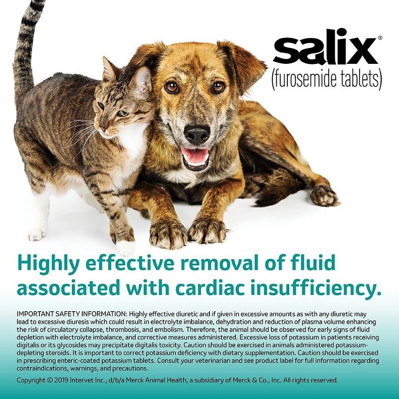 Salix (Furosemide) Tablet