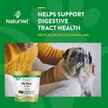 NaturVet No Toot Gas Aid Plus Fennel for Dogs, 70 Soft Chews