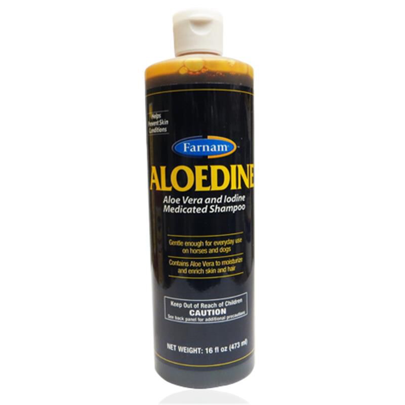 Aloedine Shampoo 16 oz