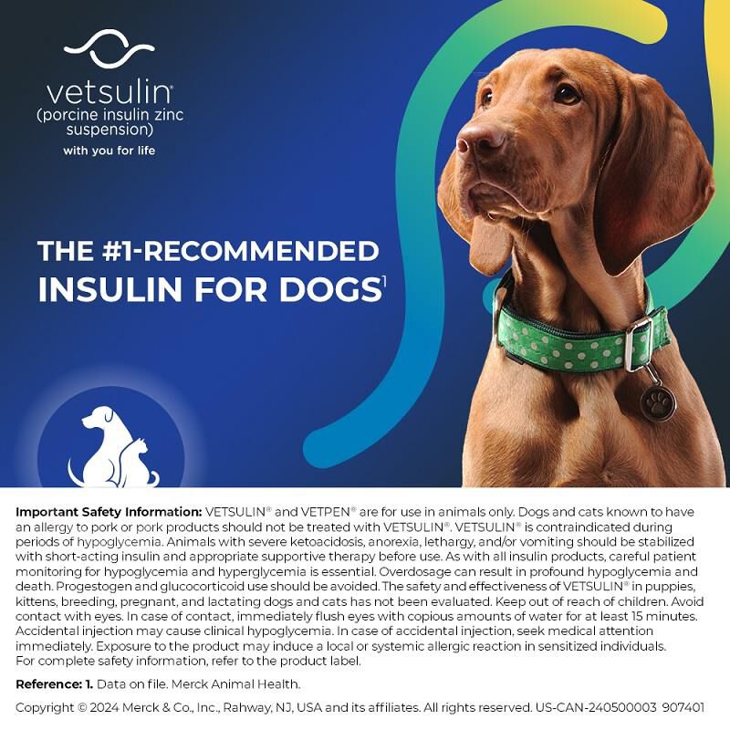 Vetsulin 40 u / ml 10 ml Vial Giant Eagle Pet Pharmacy