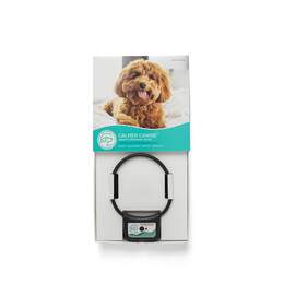 Assisi Calmer Canine Device