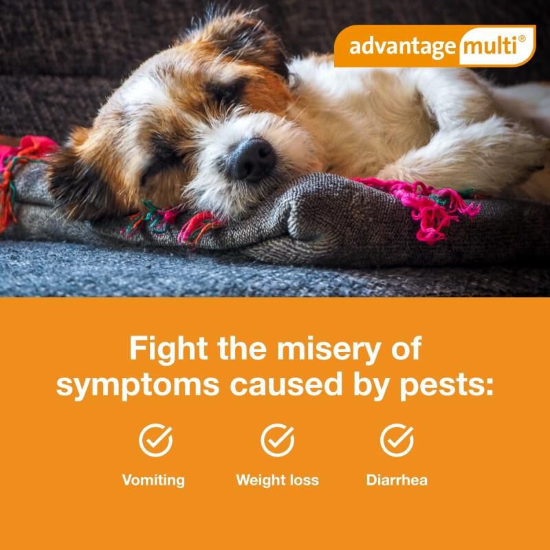 Advantage Multi Topical for Dogs