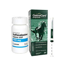 Horse Gastric Ulcer Colitis