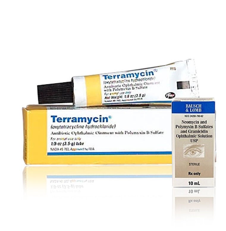 Horse Eye Antibiotics