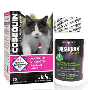 Cat Joint Care