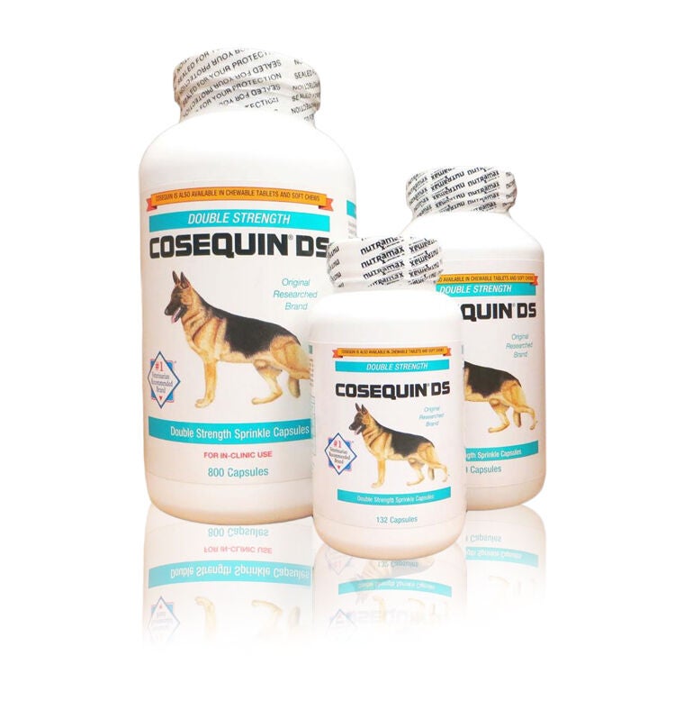 Dog Joint Supplements