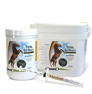 Horse Digestive Supplements