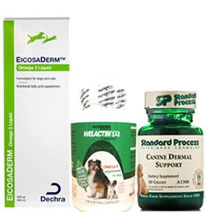 Dog Skin & Allergy