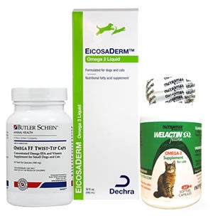 Cat Skin & Allergy