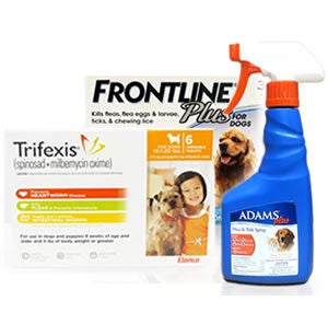 Dog Flea & Tick
