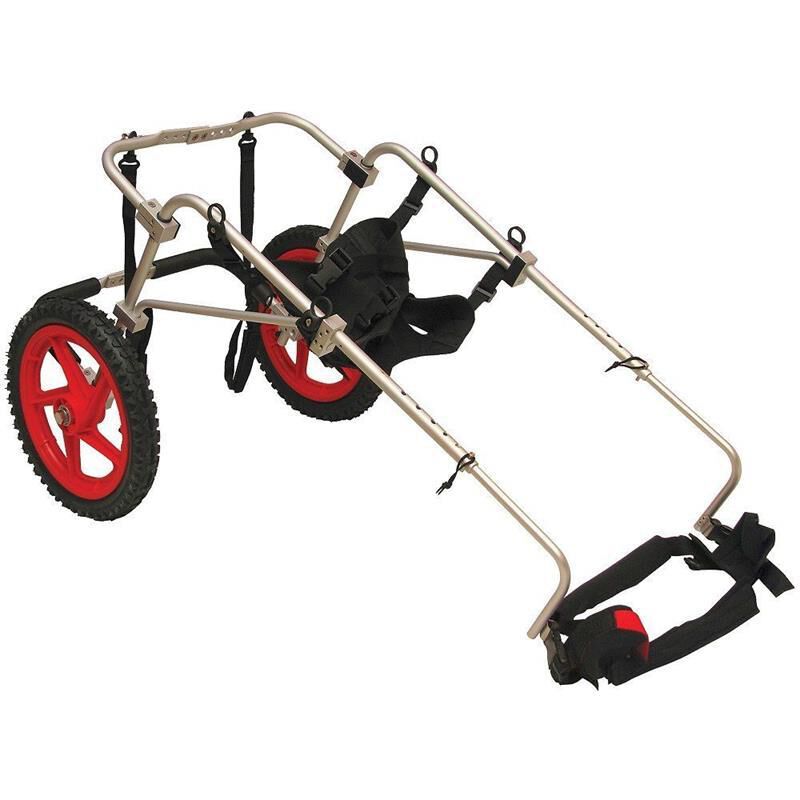 Dog Mobility