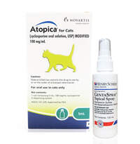 Cat Allergy & Skin Medication
