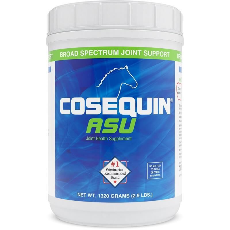Horse Supplements