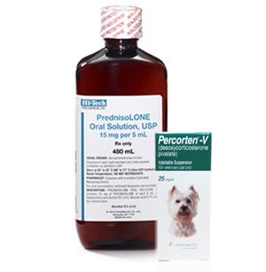 Dog Addison's Disease