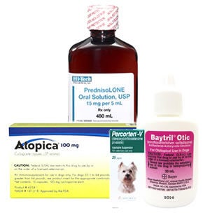 Dog Prescriptions