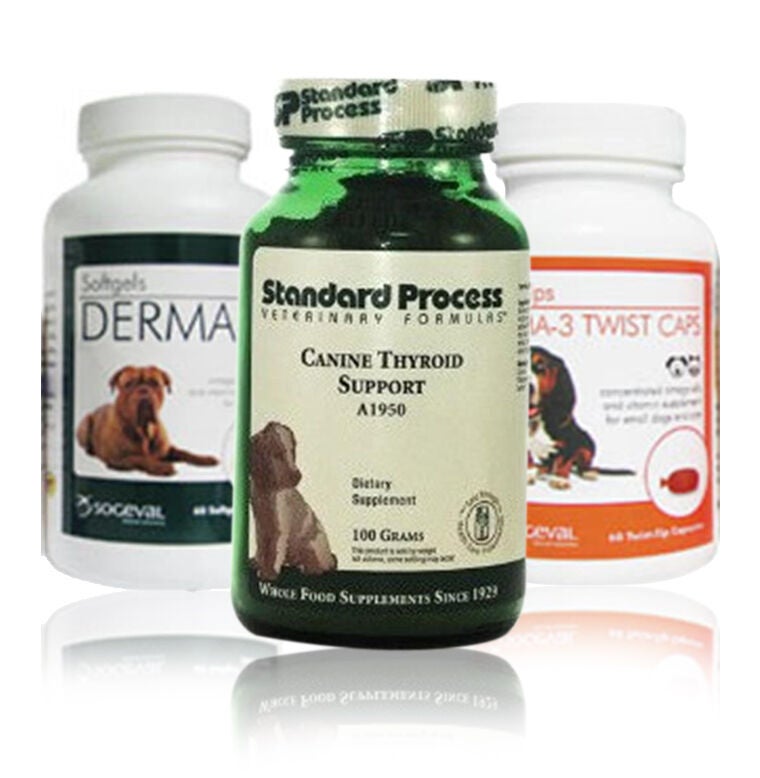 Dog Immune Support